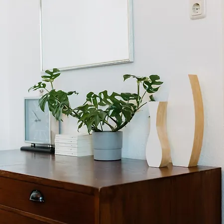 City Pension * Райхенбах-им-Фогтланд