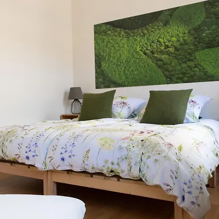 Zur Zenkergasse - Studios&Apartments&DZ in der City Reichenbach im Vogtland