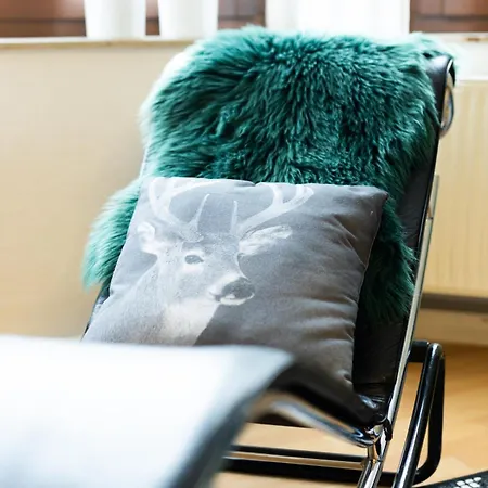 Appartement Zur Zenkergasse - Studios&Apartments&DZ in der City Reichenbach im Vogtland